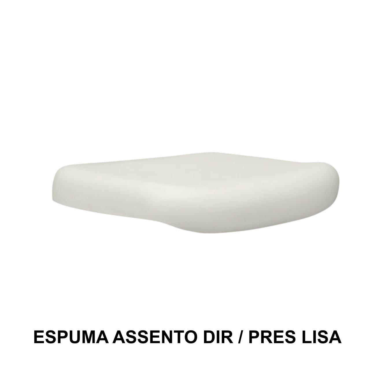 Espuma ASSENTO Diretor LISA – 99202 CADEIRAS RENOVA